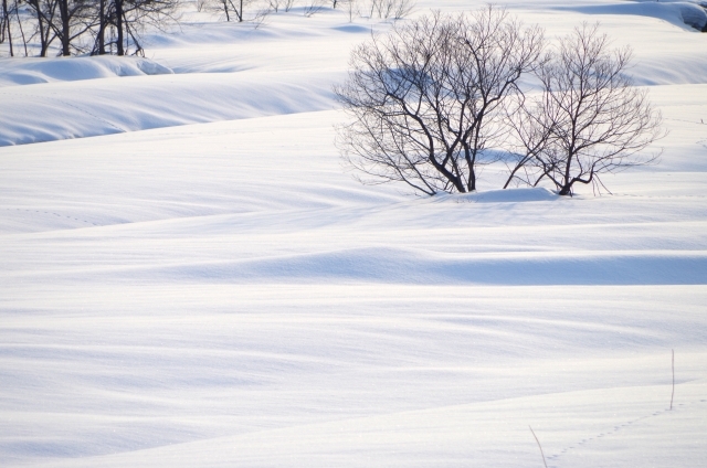 雪